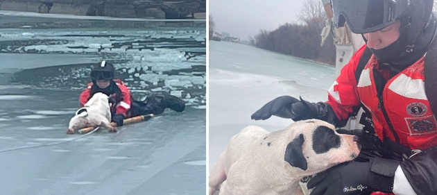 Küstenwache rettet „dankbaren“ Hund, der im eiskalten Wasser gefangen war